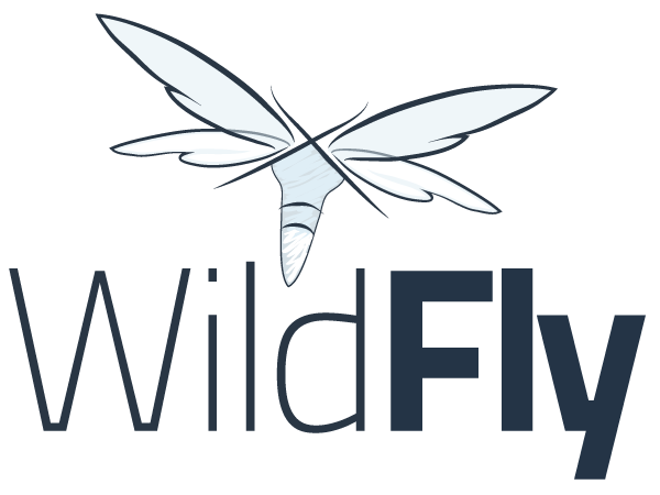 Wildfly 8
